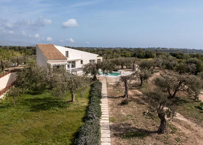 فيلة Pizzuta نوتو